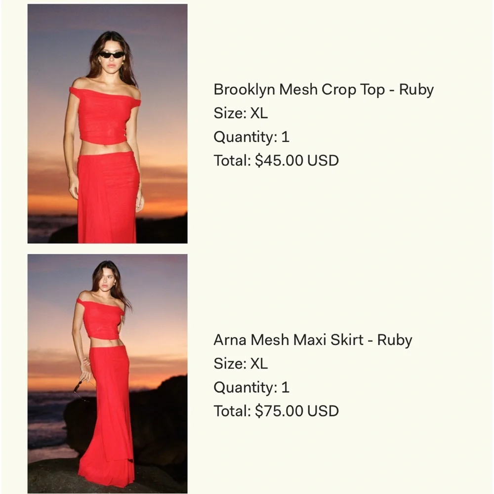 Meshki Arna Mesh Maxi Skirt - Picture 4 of 4